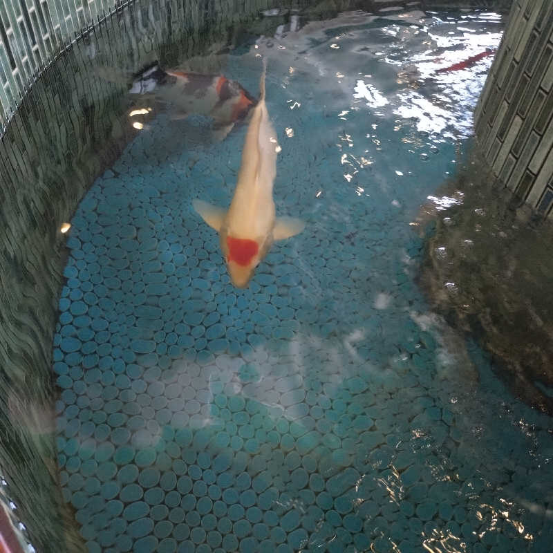 RED-Dさんの夢の公衆浴場 五色のサ活写真