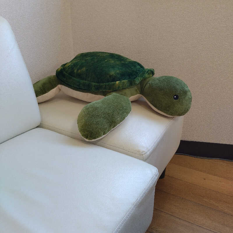 RED-Dさんの亀遊舘のサ活写真