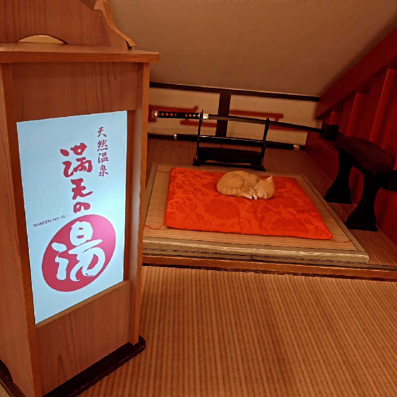 RED-Dさんの天然温泉 満天の湯のサ活写真