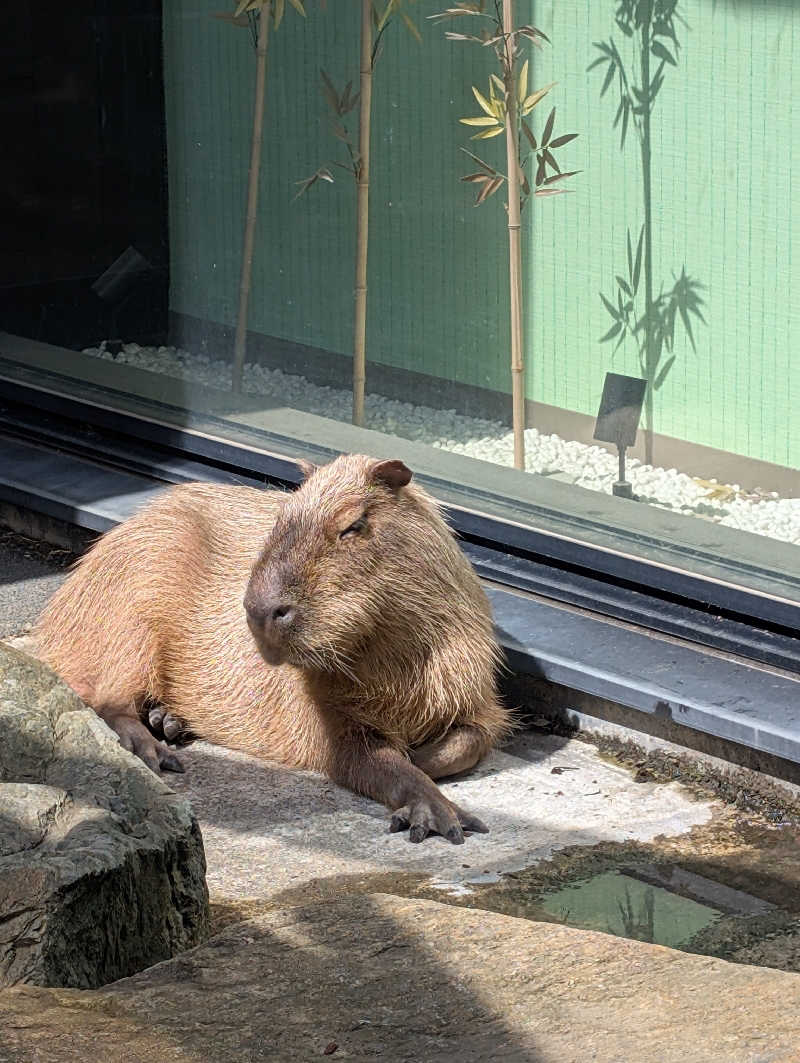 えみんぼさんの石狩天然温泉 番屋の湯のサ活写真