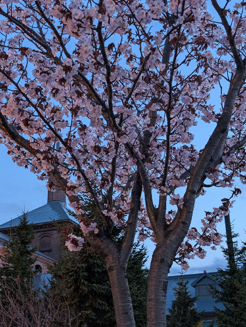 えみんぼさんの苗穂駅前温泉 蔵ノ湯のサ活写真