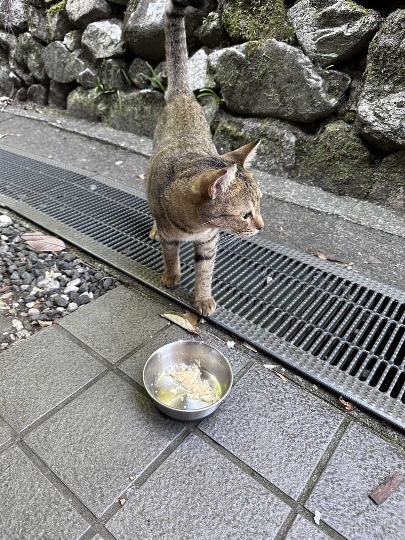 さ や かさんのはらだの湯のサ活写真