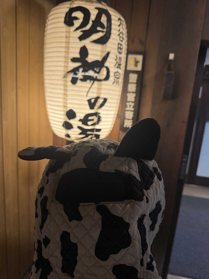 ですです！さんの大谷田温泉 明神の湯のサ活写真