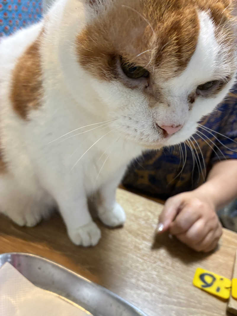 hirobumiさんの岩乃湯のサ活写真