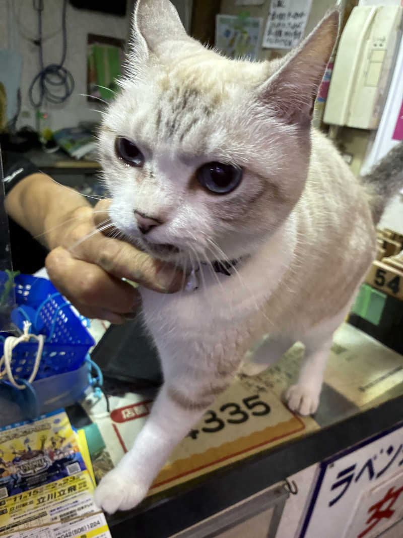 hirobumiさんのお湯どころ野川のサ活写真