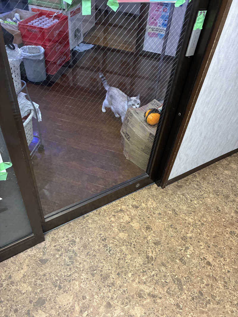hirobumiさんのお湯どころ野川のサ活写真