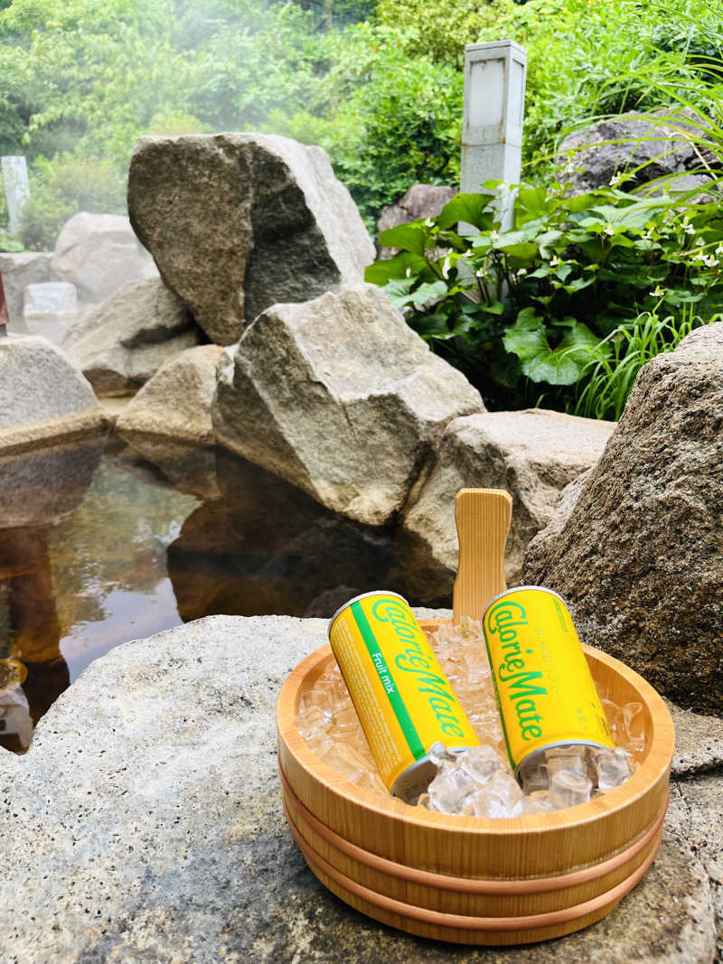 うきなさんの豊島園 庭の湯のサ活写真