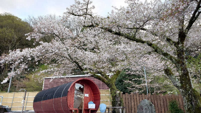 ミッツィタさんのアウトドアサウナ KULTAのサ活写真
