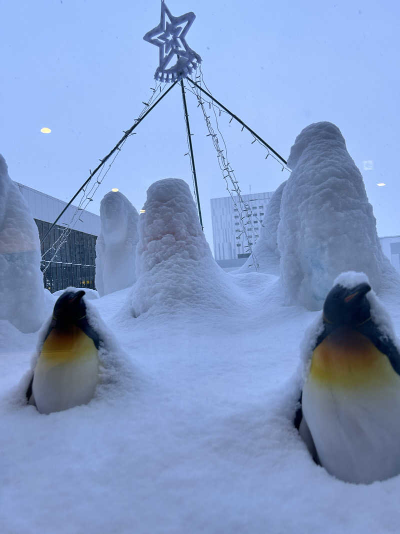 Mieさんのワイズホテル旭川駅前のサ活写真