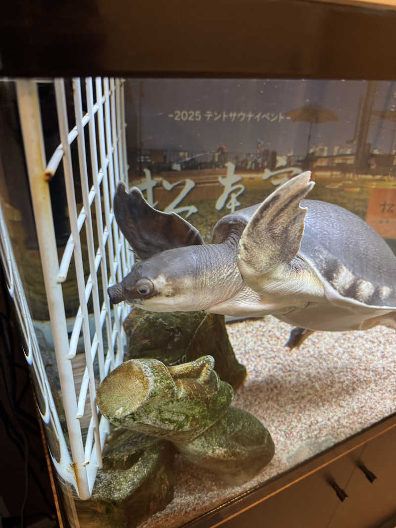 ろととくさんの松本湯のサ活写真