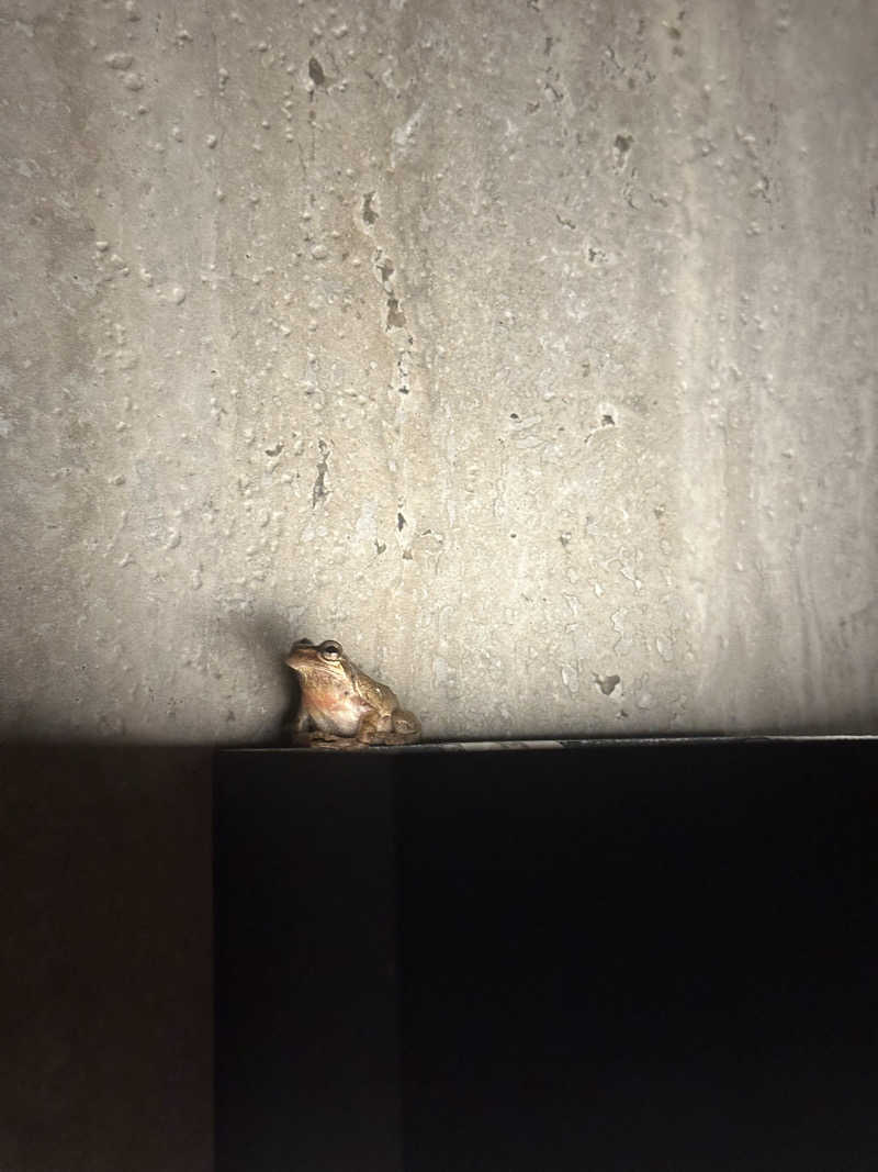 川口将大さんのSATOYAMA TERRACEのサ活写真