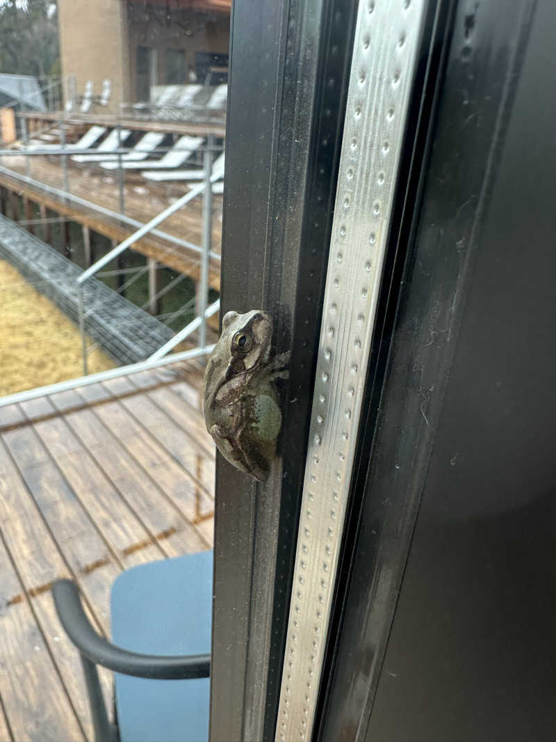 川口将大さんのSATOYAMA TERRACEのサ活写真