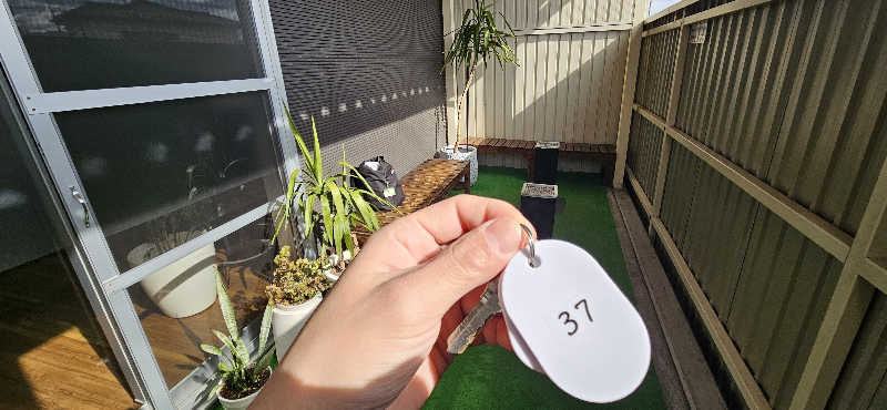 せいーごさんの桜湯のサ活写真