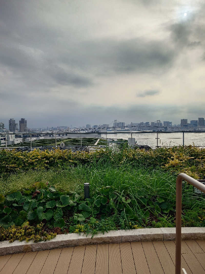 ねこ肌マダムさんの東京豊洲 万葉倶楽部のサ活写真