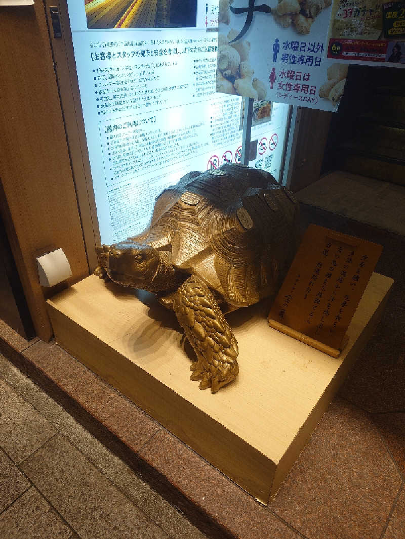 ねこ肌マダムさんの生姜サウナ 金の亀のサ活写真
