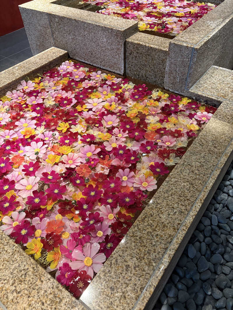 まろさんの綱島源泉 湯けむりの庄のサ活写真