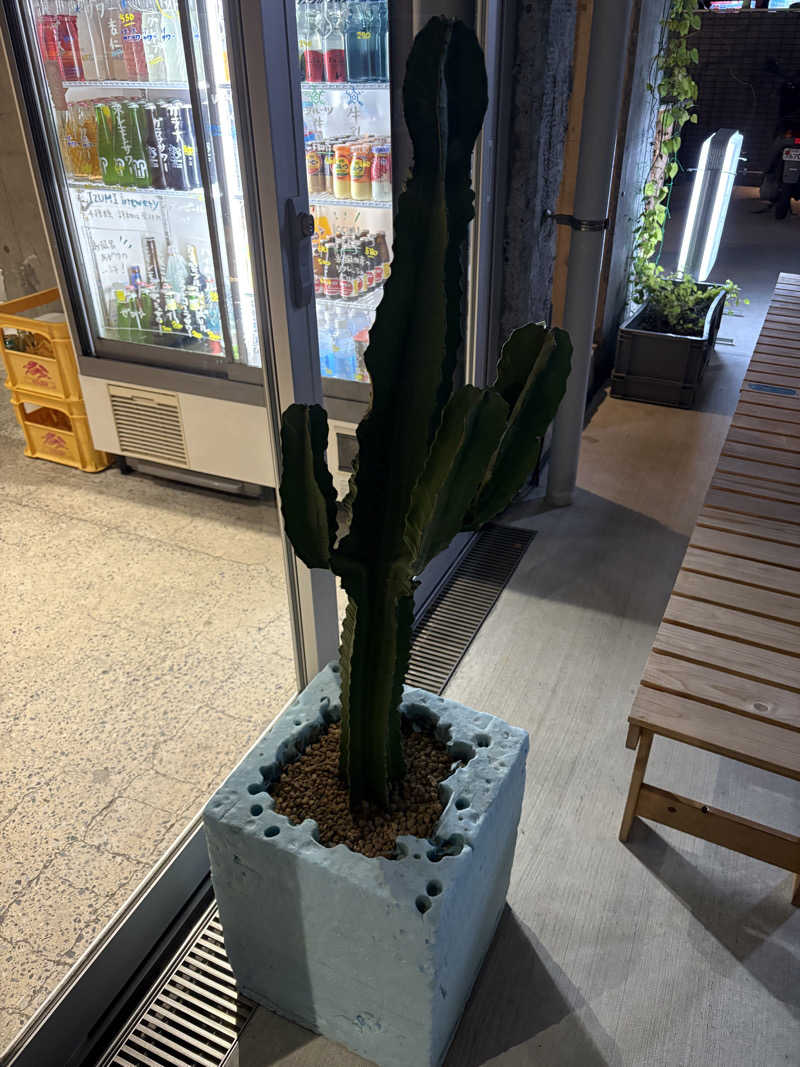 まろさんの狛江湯のサ活写真