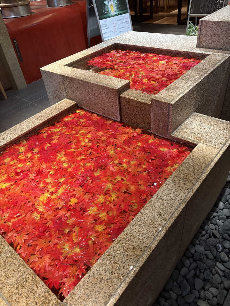 まろさんの綱島源泉 湯けむりの庄のサ活写真