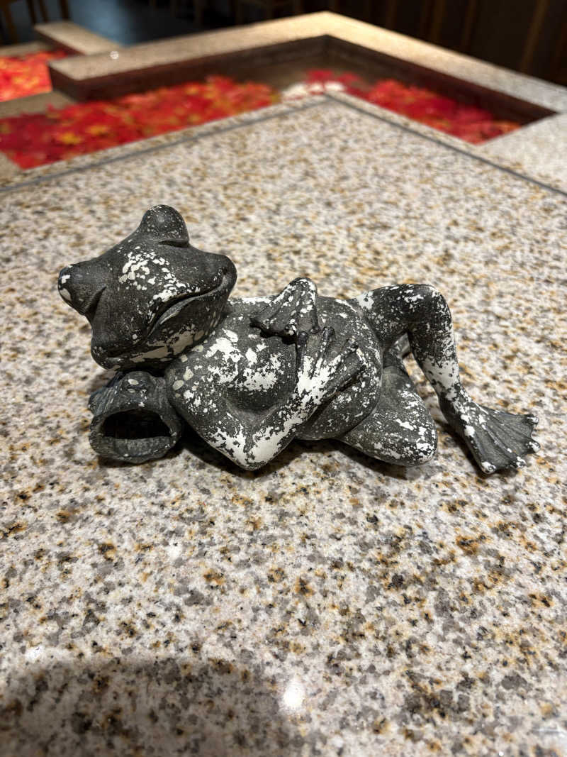 まろさんの綱島源泉 湯けむりの庄のサ活写真