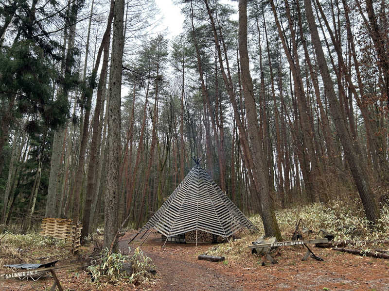 ころもさんのFOLKWOOD SAUNAのサ活写真