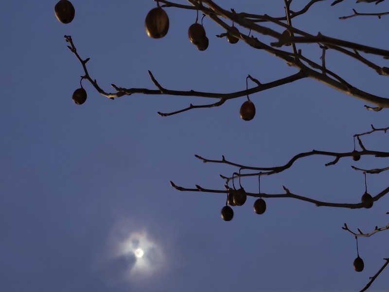 Akikoさんのまちなか温泉青森センターホテルのサ活写真