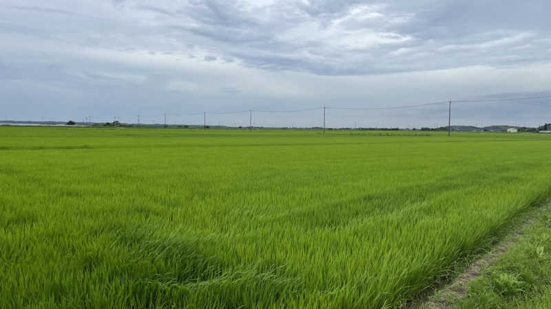 Kojiraseさんの成田の命泉 大和の湯のサ活写真