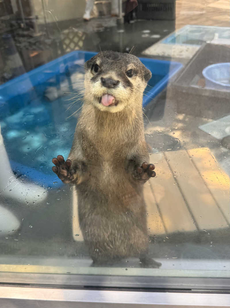 ｳﾗｹﾝさんのよみうりランド眺望温泉 花景の湯のサ活写真