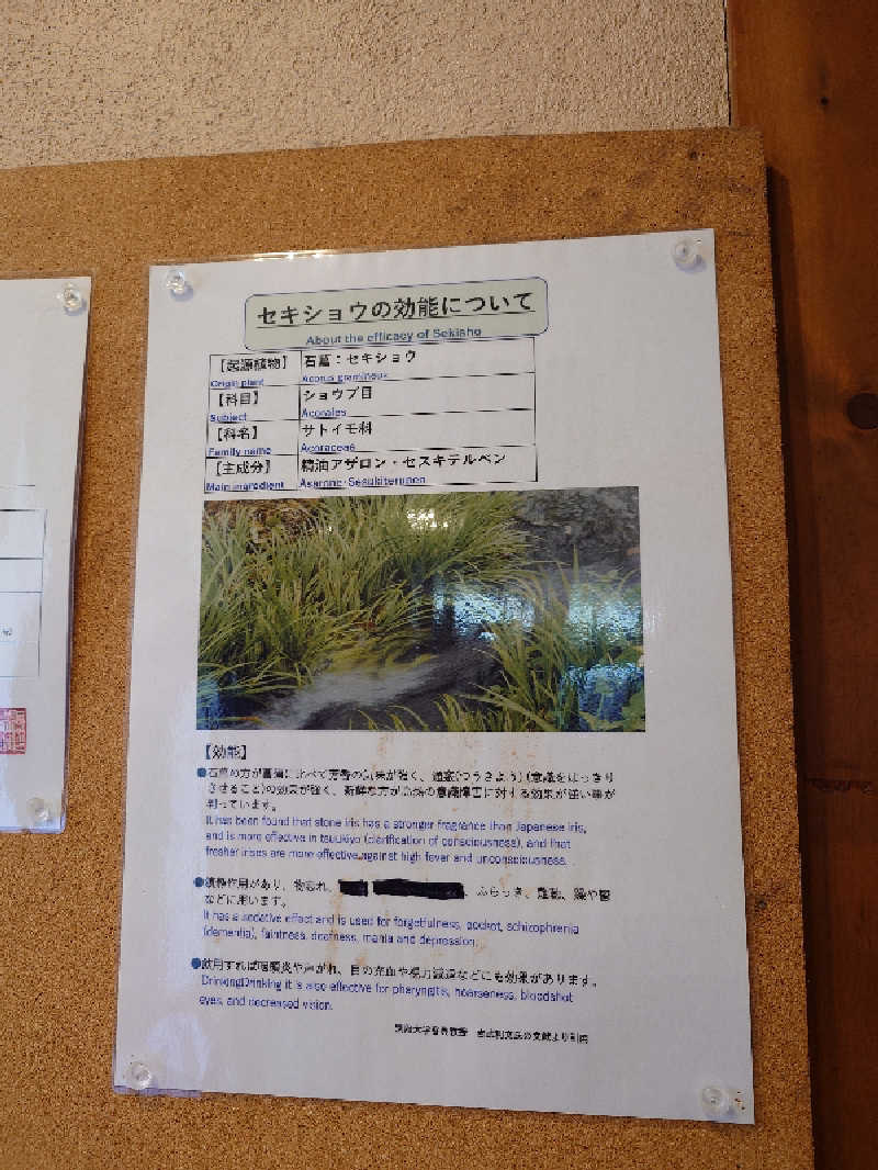 らーさんの鉄輪むし湯のサ活写真