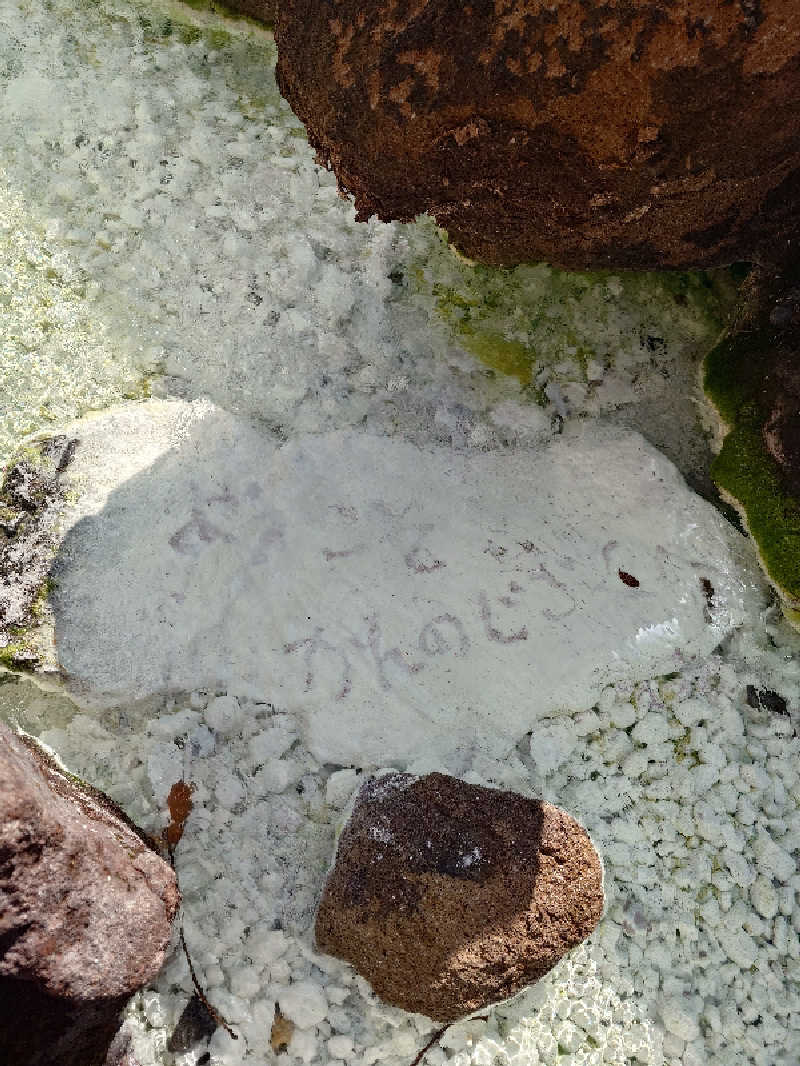 らーさんの寒の地獄旅館のサ活写真