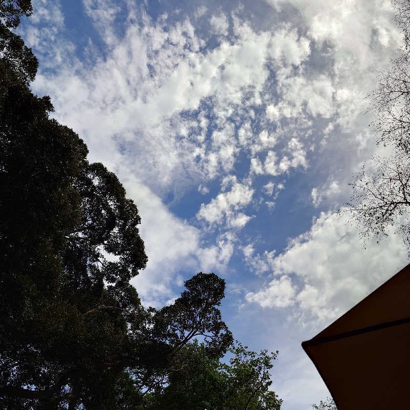 らーさんの小江戸サウナのサ活写真