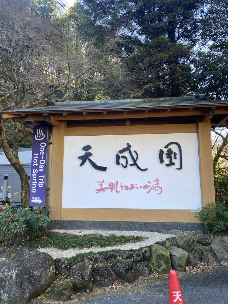 もりさんの箱根湯本温泉 天成園のサ活写真