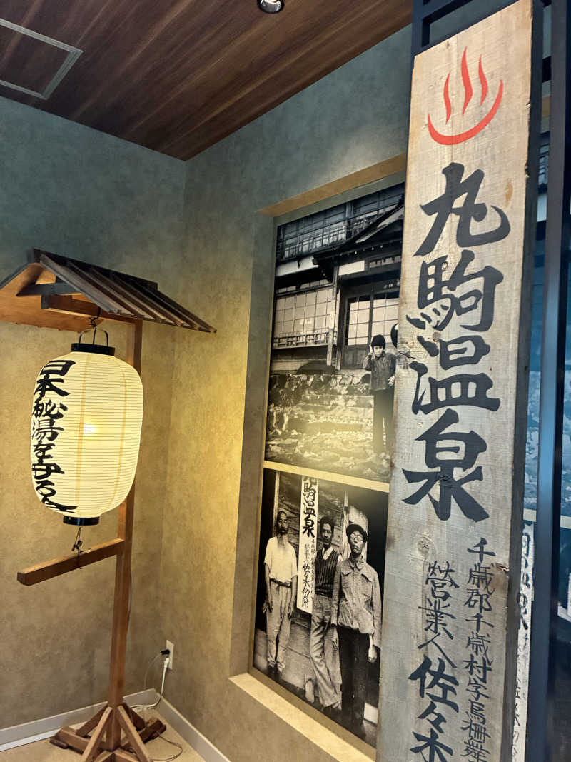ととのえ足軽さんの奥札幌の秘湯 湖畔の宿支笏湖 丸駒温泉旅館のサ活写真