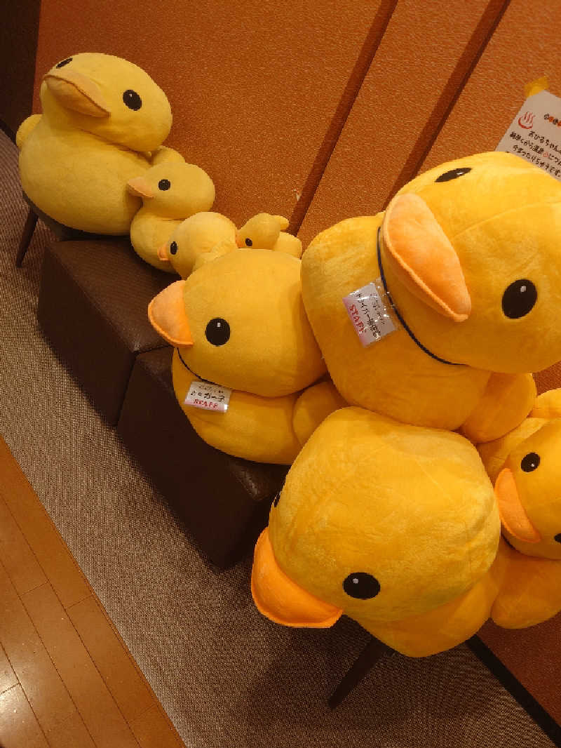 遊坊さんの天然温泉ロテン・ガーデンのサ活写真