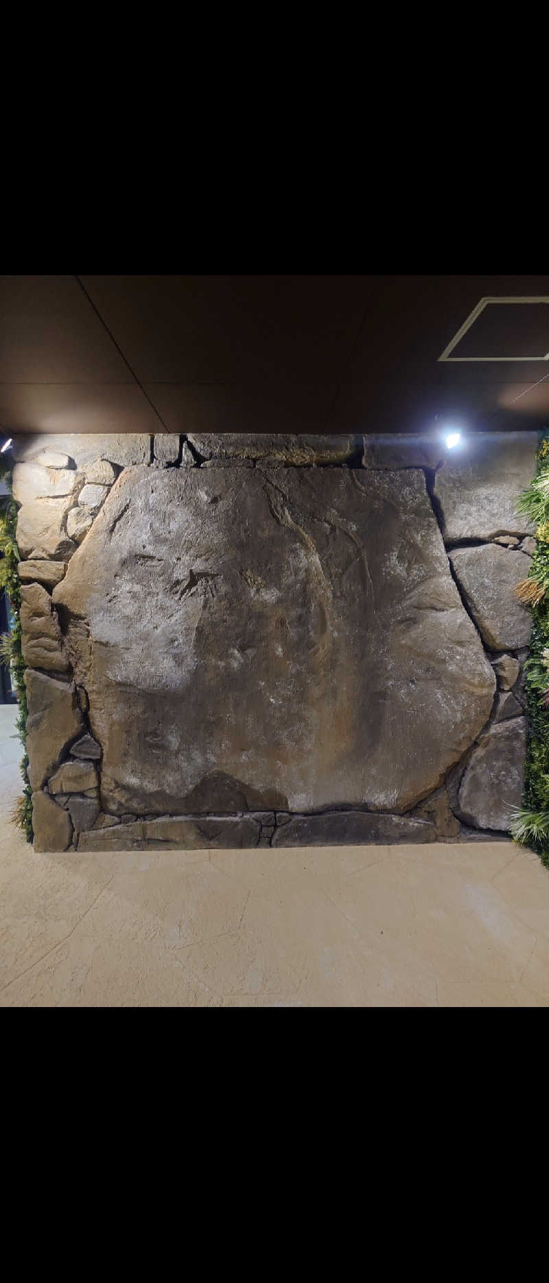 遊坊さんのUU ueda ユーユーウエダのサ活写真