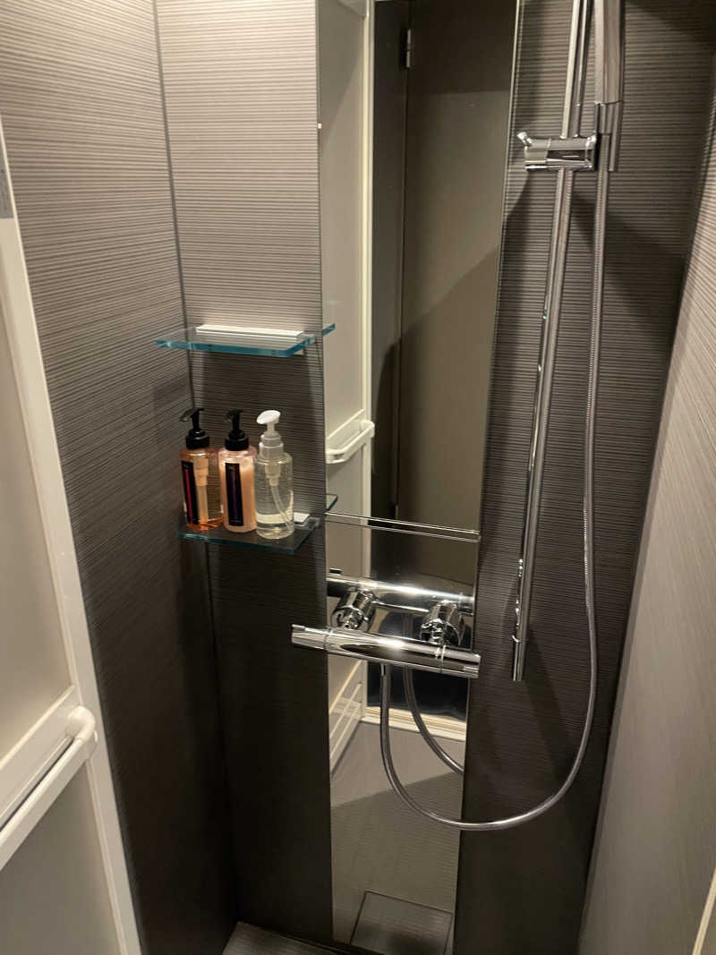 やや☆ぱぱさんのLedian Spa Privateのサ活写真