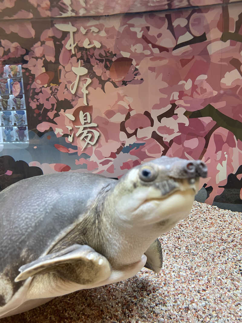 やや☆ぱぱさんの松本湯のサ活写真