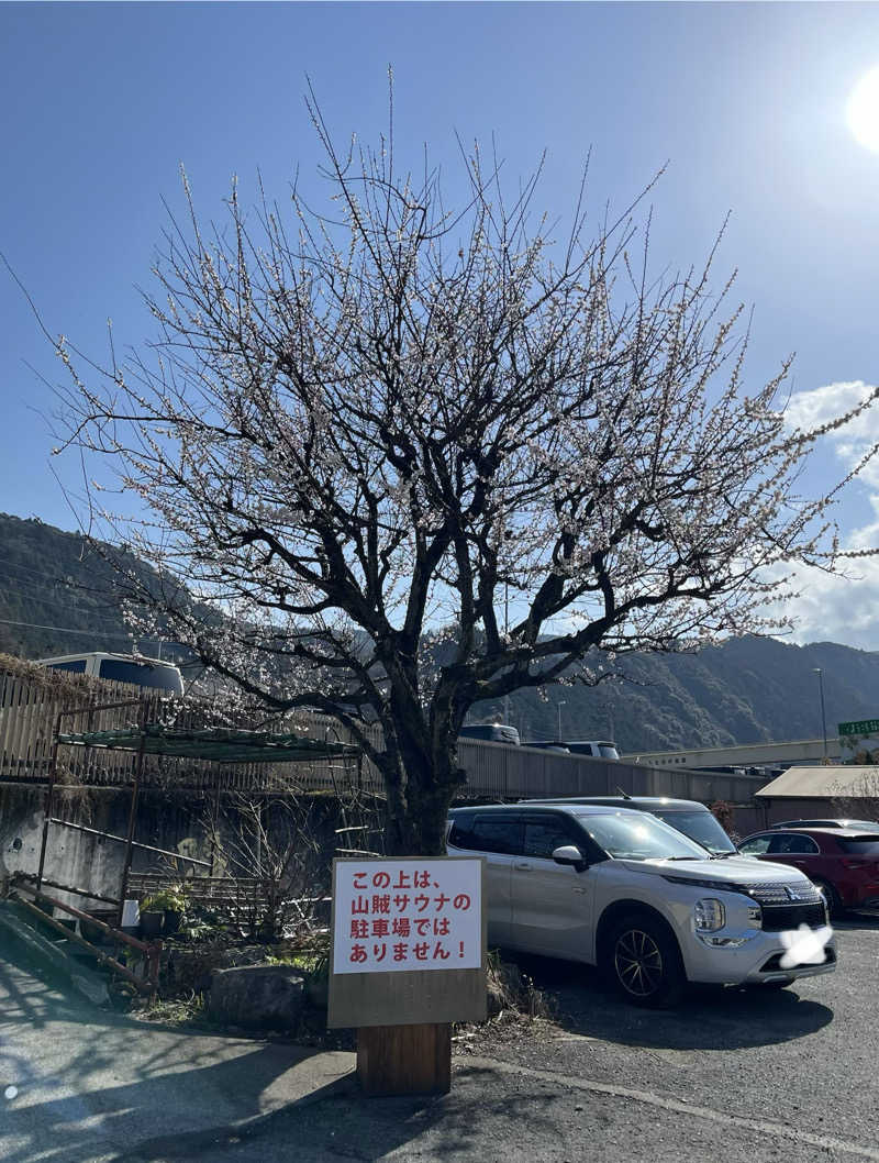 よしおさんの山賊サウナのサ活写真