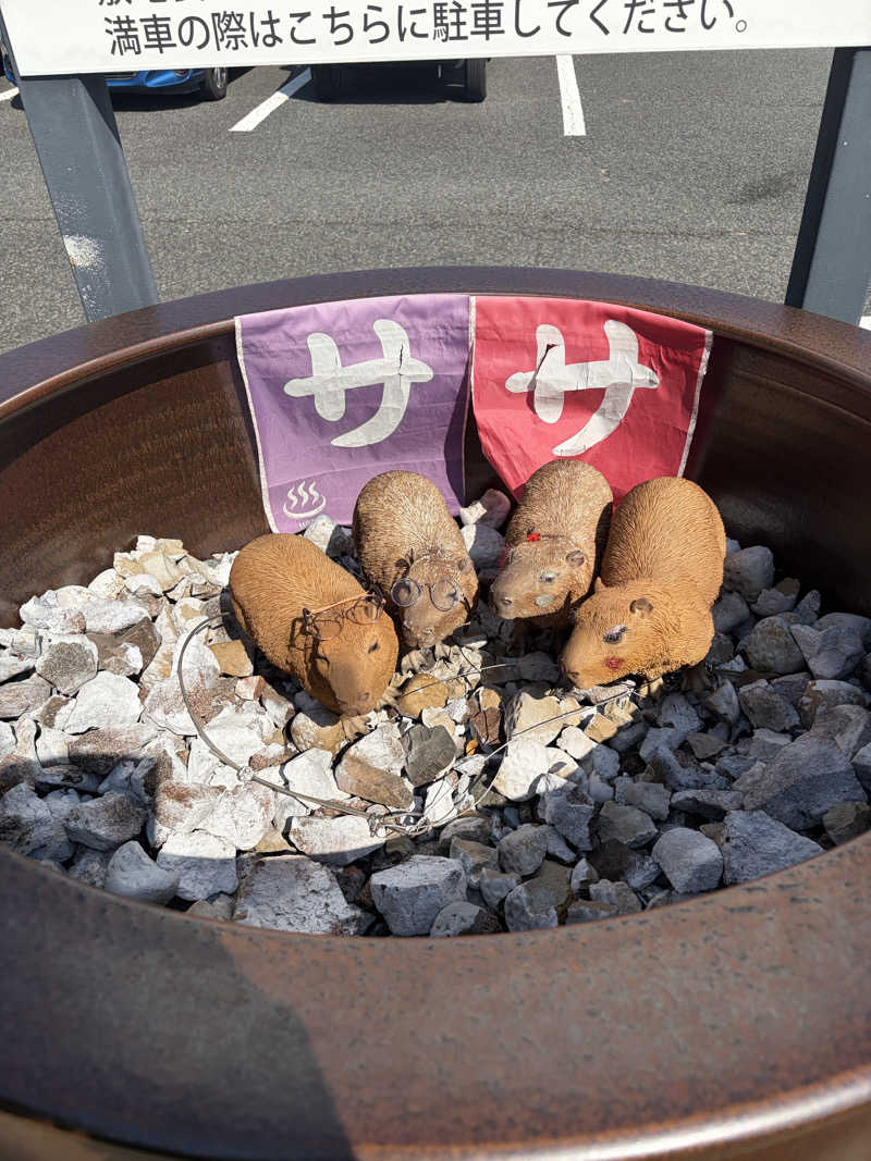 シンカ・サウナーさんの富士山天然水SPA サウナ鷹の湯のサ活写真