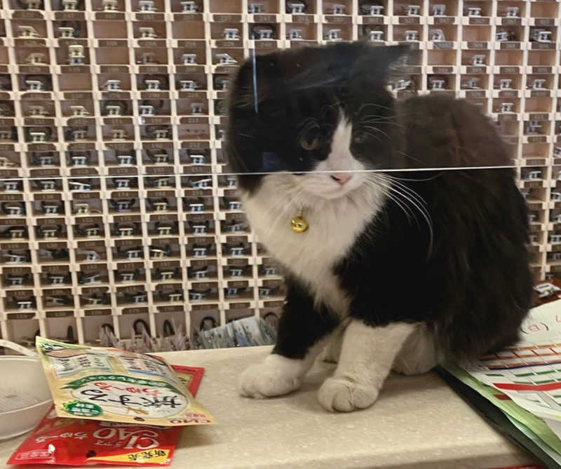 なす。さんの行田・湯本天然温泉 茂美の湯のサ活写真