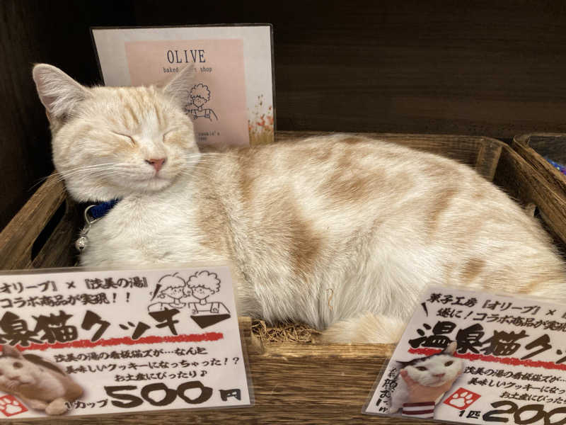 なす。さんの行田・湯本天然温泉 茂美の湯のサ活写真