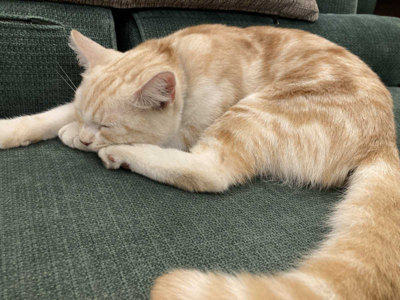 なす。さんの行田・湯本天然温泉 茂美の湯のサ活写真