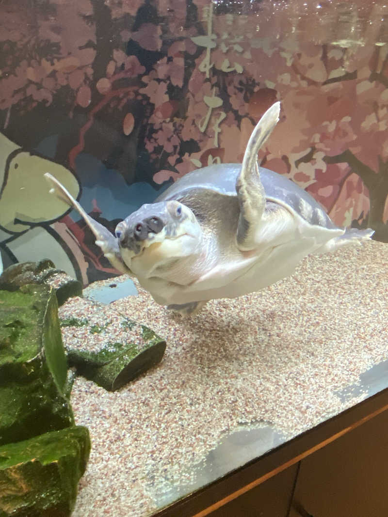 大智さんの松本湯のサ活写真