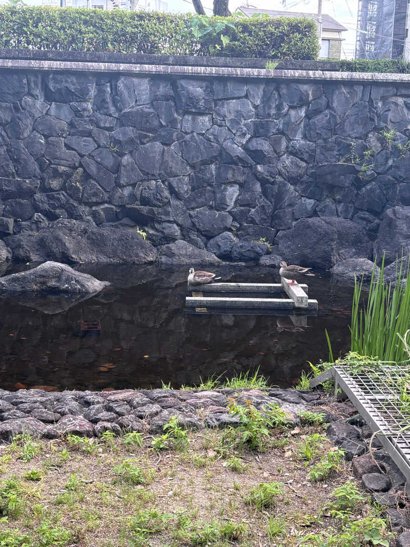 孤独のサウナさんのエクセルイン名古屋熱田 川の湯のサ活写真