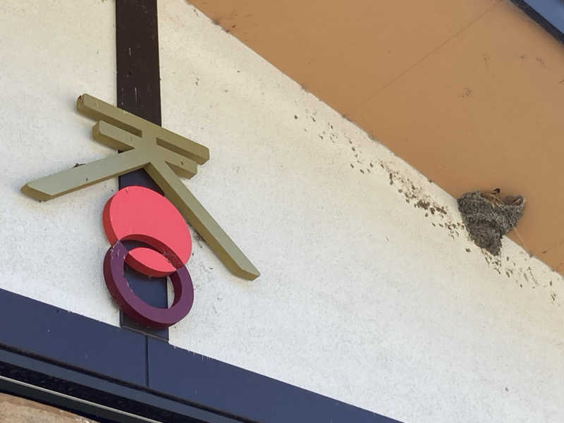 怨さんの長命寺温泉 天葉の湯のサ活写真