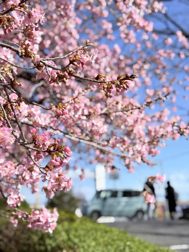 mi.mi.miさんの湯の道利久 吉岡店のサ活写真