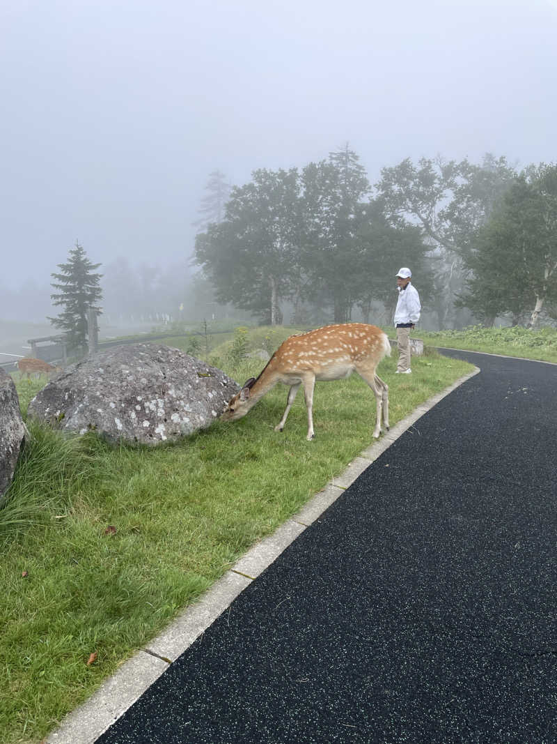 モスグリーンの使者さんのランプの宿森つべつのサ活写真