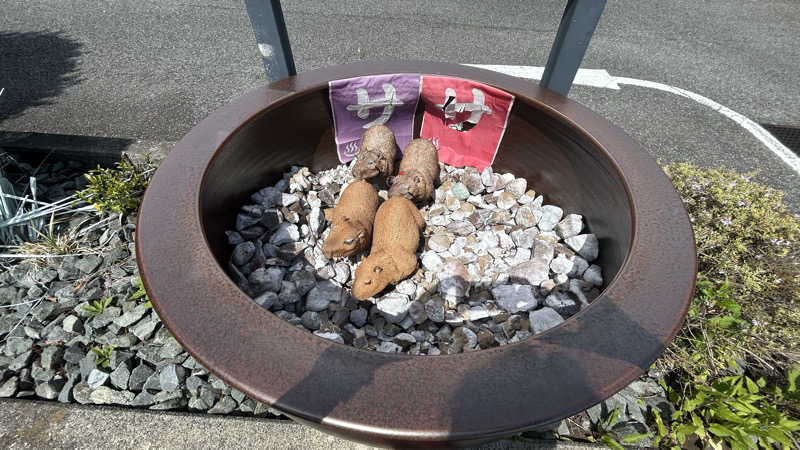 スプリンガーさんの富士山天然水SPA サウナ鷹の湯のサ活写真