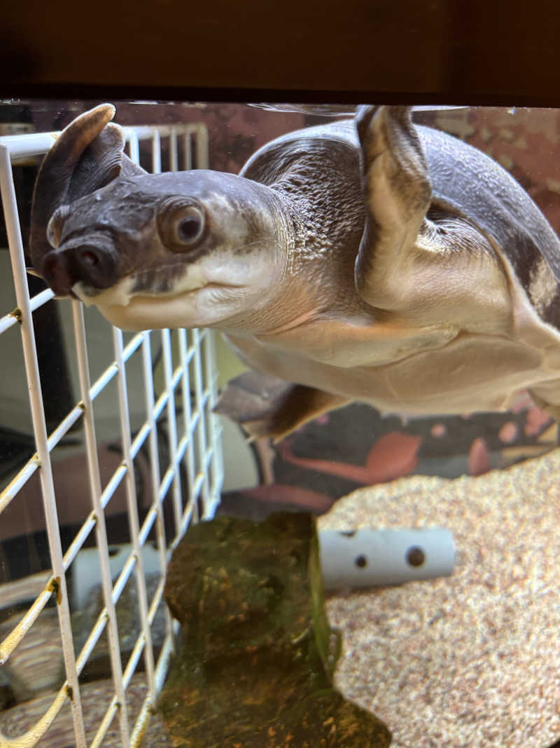 ばんけんさんの松本湯のサ活写真