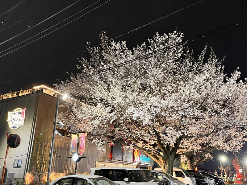 jieさんの温泉バルコニー キング&クイーンのサ活写真