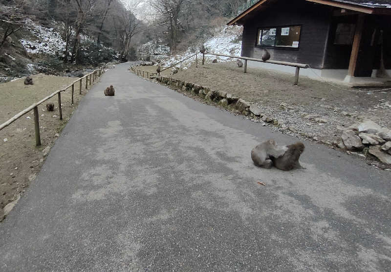 のぶさんの湯快リゾート 湯原温泉 輝乃湯のサ活写真